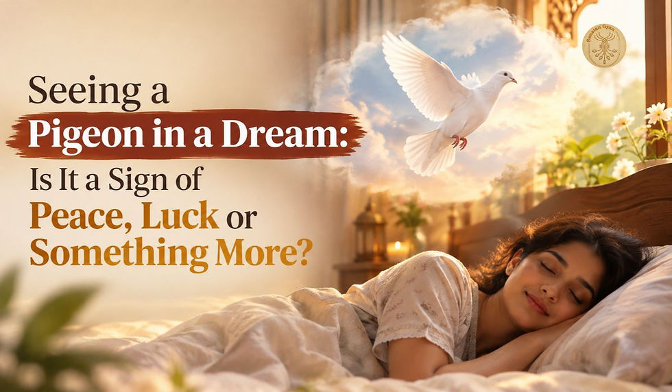 Seeing a Pigeon in a Dream