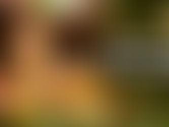 Onam 2026,, When Is Thiruvonam?