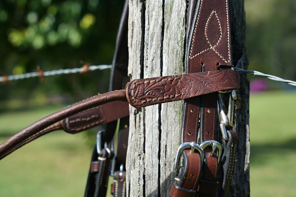 Thumbnail: Lainey – Browband