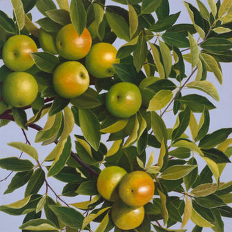 Green Apples