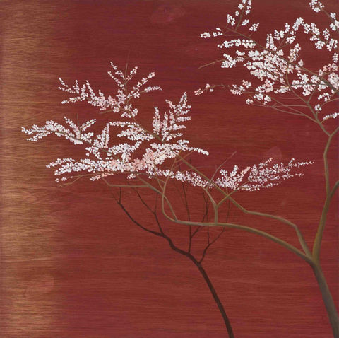 Red Sky White Blossoms