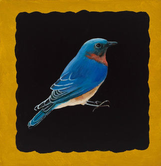 Bluebird on Black