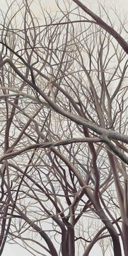Bare Trees, Shugaku-in