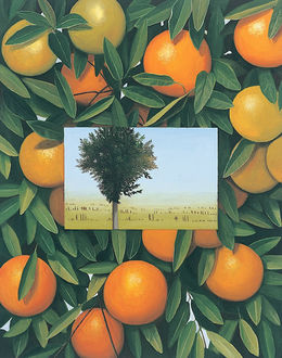 Oranges and Tree