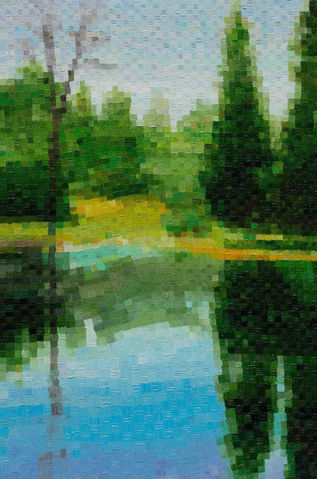 Forest Lake