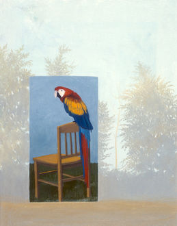 Jane's Parrot