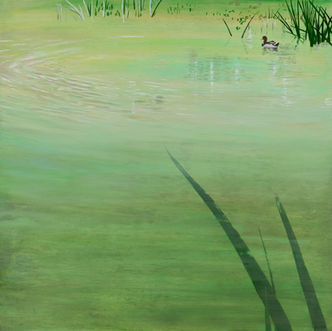 Duck in Mulberry Pond