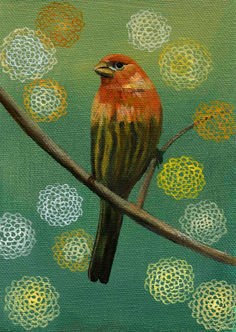 Finch with Kiku