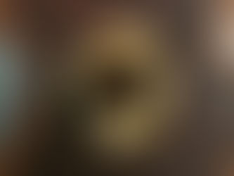 Tortilla de Higos con Queso