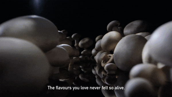 GIF 3.gif