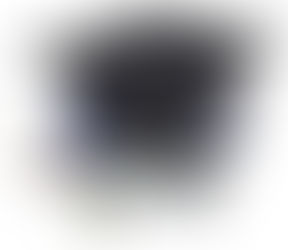 SKRIPTA ZA POKLICNO MATURO