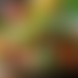 Healthy Catering Solutions for Hospitals and Corporates