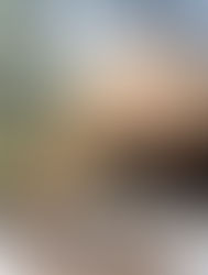 Publikation Canadian Cottage im "Das Einfamilienhaus"