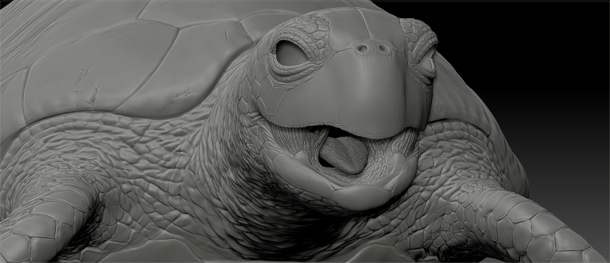 Zbrush