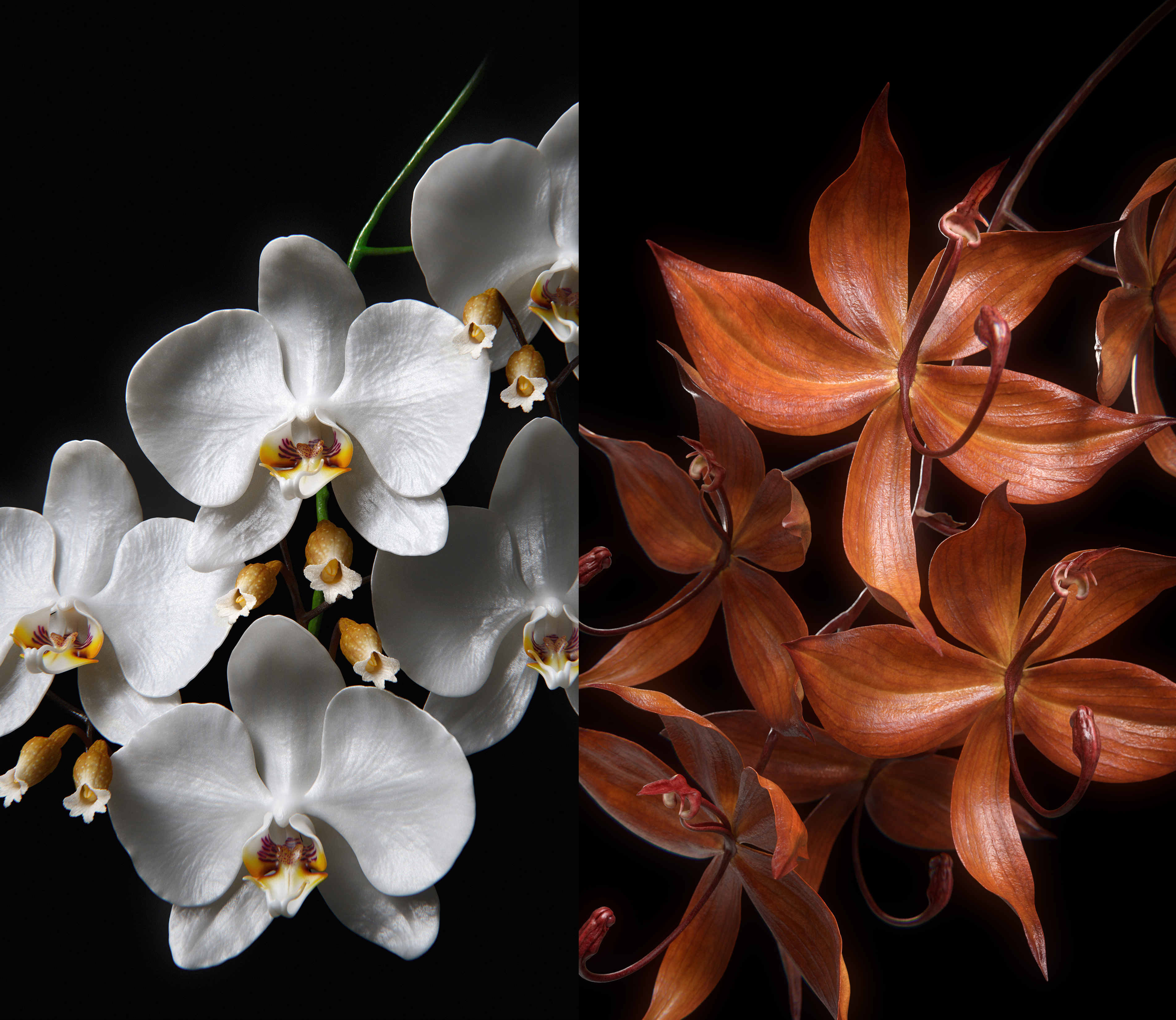 Guerlain Orchidée Series