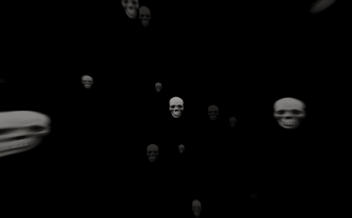 Skulls