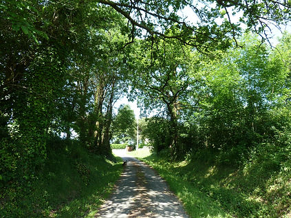 chemin creux vers la lumière