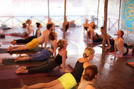 Cours de Yoga suspendus 24 et 26 Juillet 2018
