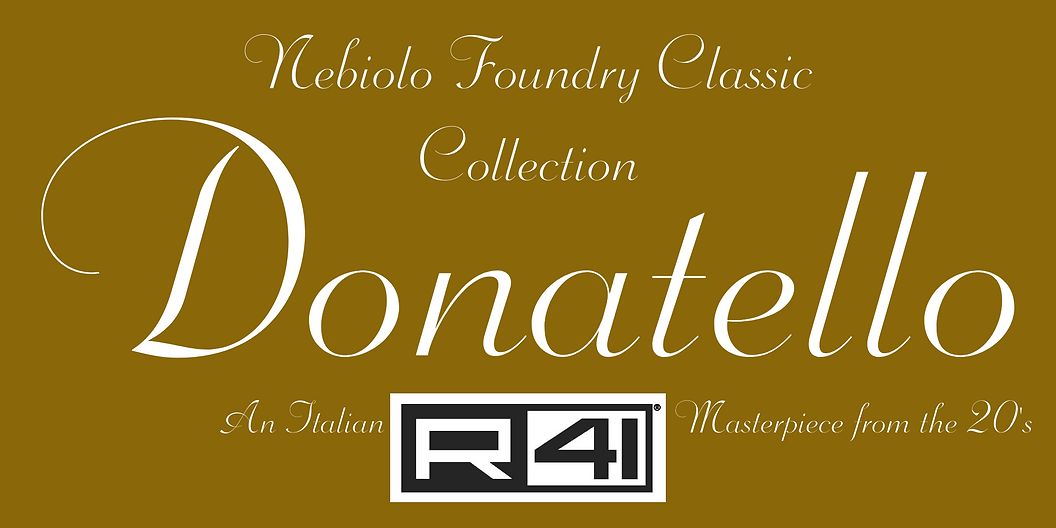 R41 DONATELLO COVER .png