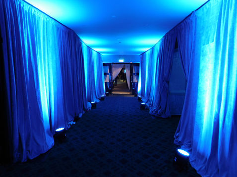 Mountain event, winter event, blue drape, penguin props, animal props, ice props, Christmas tree hire, Christmas event