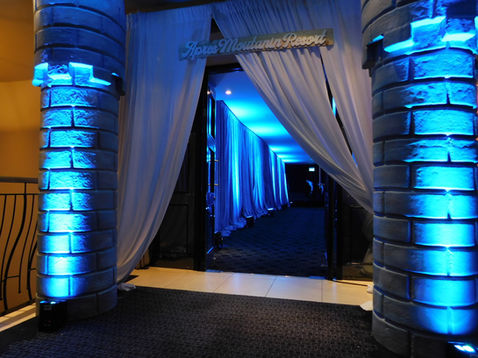 Mountain event, winter event, blue drape, penguin props, animal props, ice props, Christmas tree hire, Christmas event