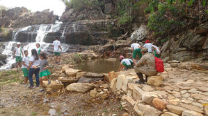 Dia da árvore (7).jpg