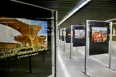Exposição_Walk_and_Talk_5.jpeg