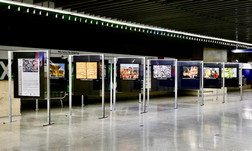 Exposição_Walk_and_Talk_3.jpeg