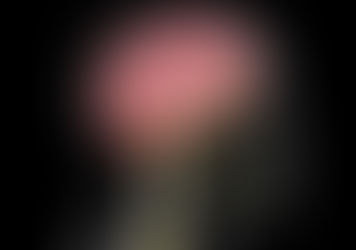 Changing the Brain-Body Connection with a Den Haag Chiropractor