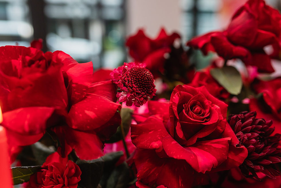 Pink Petales Galentine’s Day Floral Session