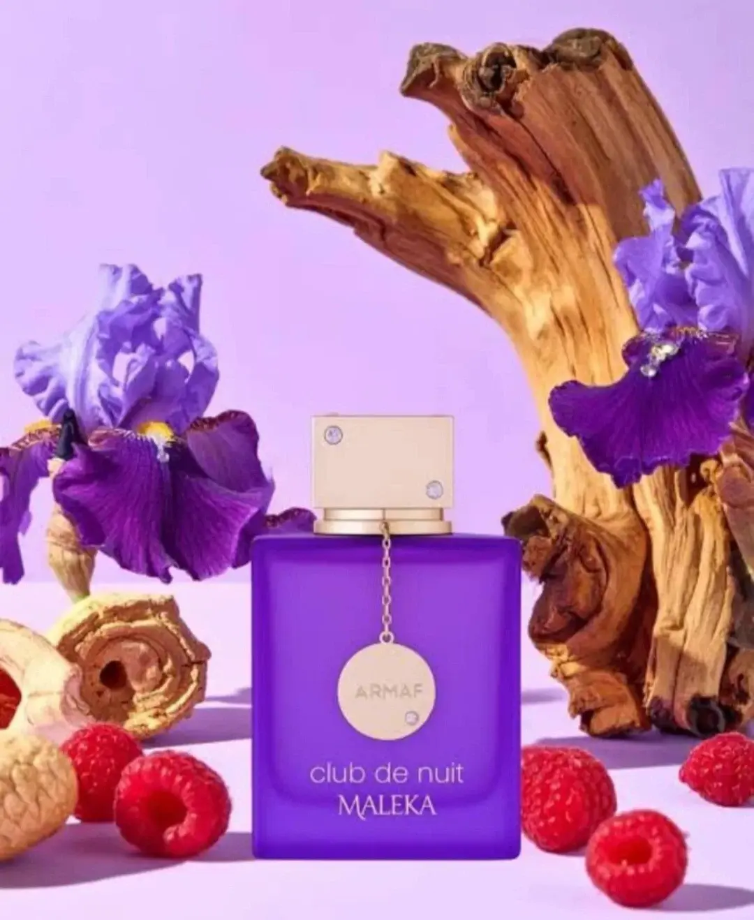 Club de Nuit de Maleka