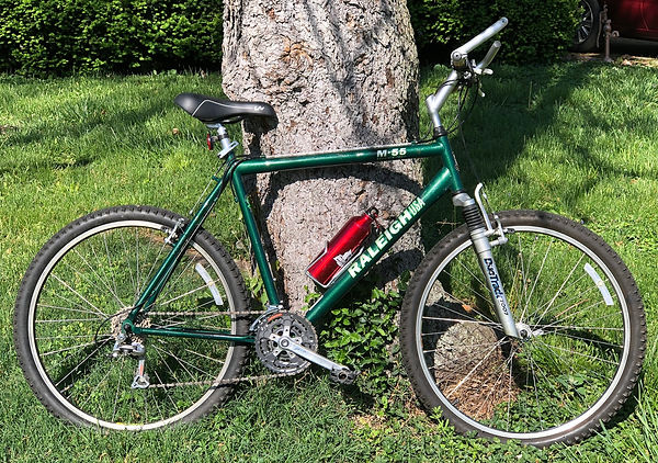 raleigh m55.jpg