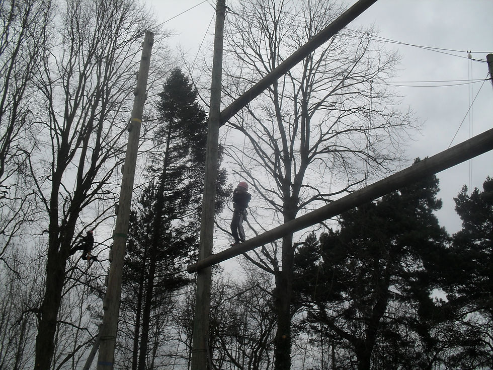 SDC10438.JPG