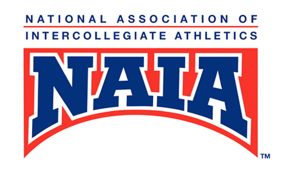 National Collegiate Athletic Association Baseball Logo