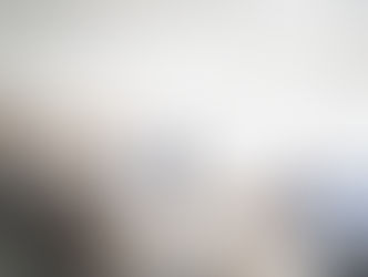 Unveiling NZ's Business Metamorphosis