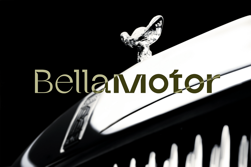 BellaMotor.png