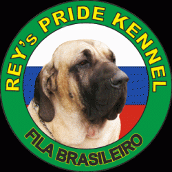 Фила бразилейро, питомник "Rey's Pride", щенки
