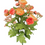 Thumbnail: Coral Ranunculus Mix Bush Floral