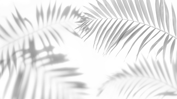 Untitled design (1).png
