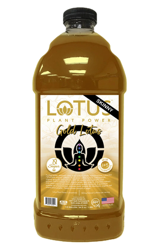 Skinny Gold Lotus Concentrate | Caffe D'arte Alaska