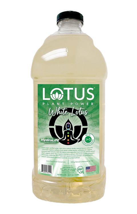 Asc White Lotus 12 Pack