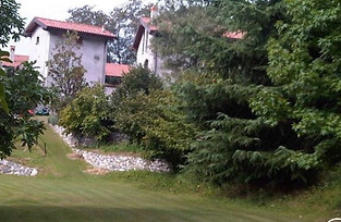 vista ingresso
