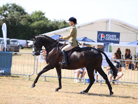 Blakesley Show 2022 Round-Up