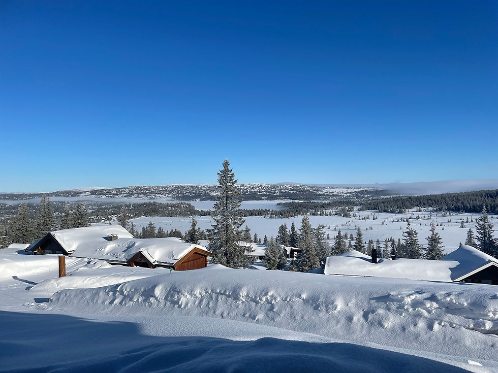Schneebericht und Loipenbedingungen in Sjusjøen: Wann beginnt und endet die Saison? (Monatsübersicht)