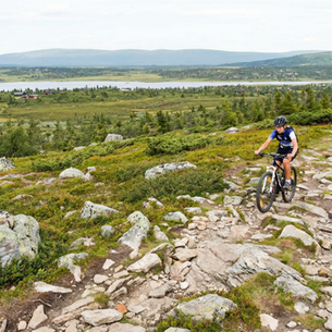 Summer 2026 Mountain Biking in Sjusjøen: Complete Guide to Norway's Premier MTB Destination
