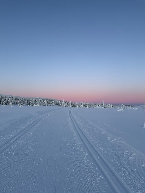 Sunset cross country ski trail Sjusjoen