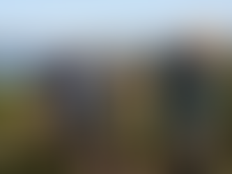 Family Summer Adventures in Sjusjøen 2026: Hiking, Fishing & Nature Activities for Kids