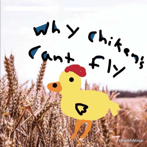 noellechicken-joke.gif