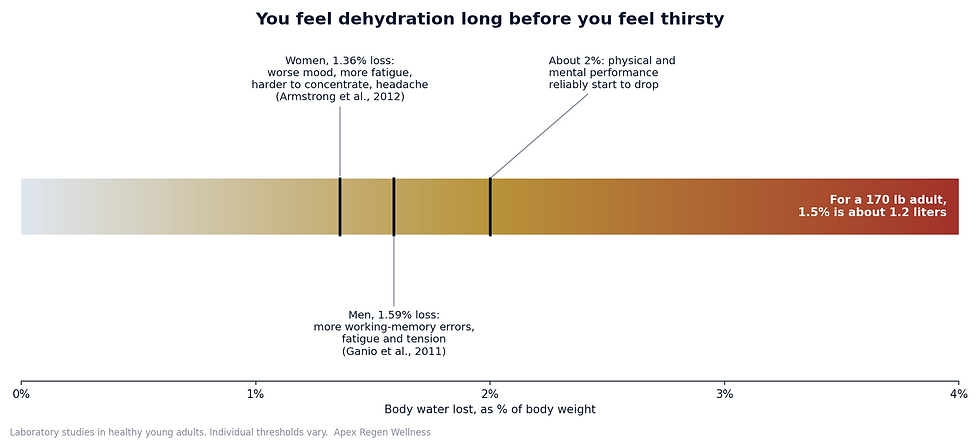 Chart showing that losing 1.4 to 1.6 percent of body water worsens mood, fatigue and concentration, with performance dropping around 2 percent
