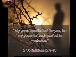 Who Understands the Purpose of Our Thorns?🌹Cultivating Resilience Through Our Challenges